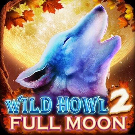 Quy định và chính sách I5BET